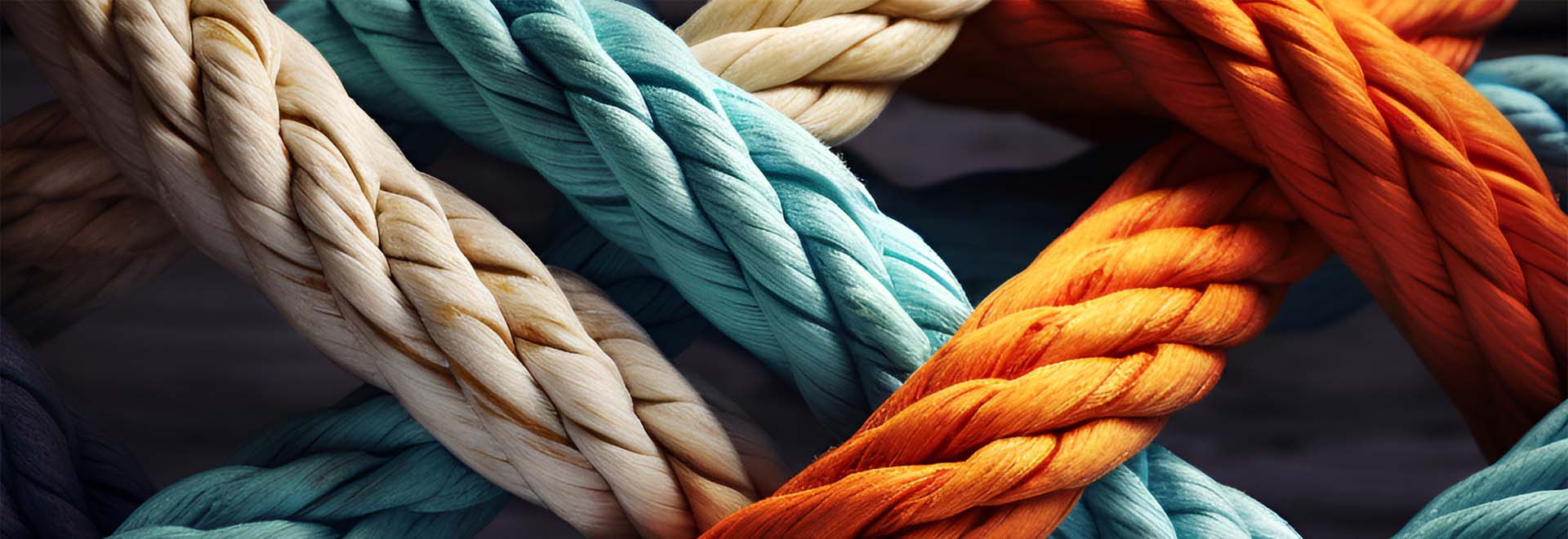 Colorful intertwined ropes symbolizing strong integration and collaboration, representing Saphera's commitment to seamless software solutions.